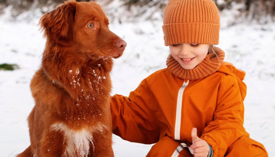 Baby It’s Cold Outside: Snowy Weather Fun For Kids