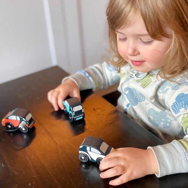 Tender Leaf Toys Smart Car Set First Impression