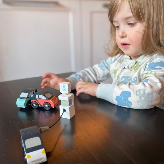 Tender Leaf Toys Smart Car Set The Verdict